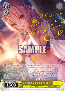 現貨 Weiss Schwarz TCG 迪士尼 100 年奇蹟補充包盒